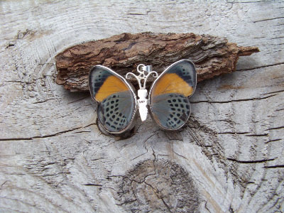butterflysmallpendant (1).jpg
